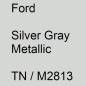 Preview: Ford, Silver Gray Metallic, TN / M2813.